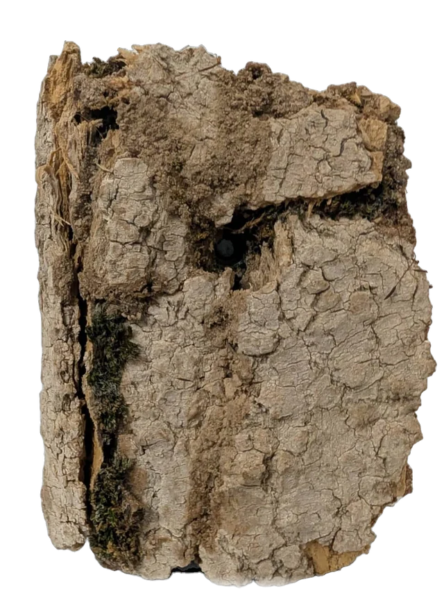 NexLens Umbra con funda de camuflaje de corteza clara y musgo